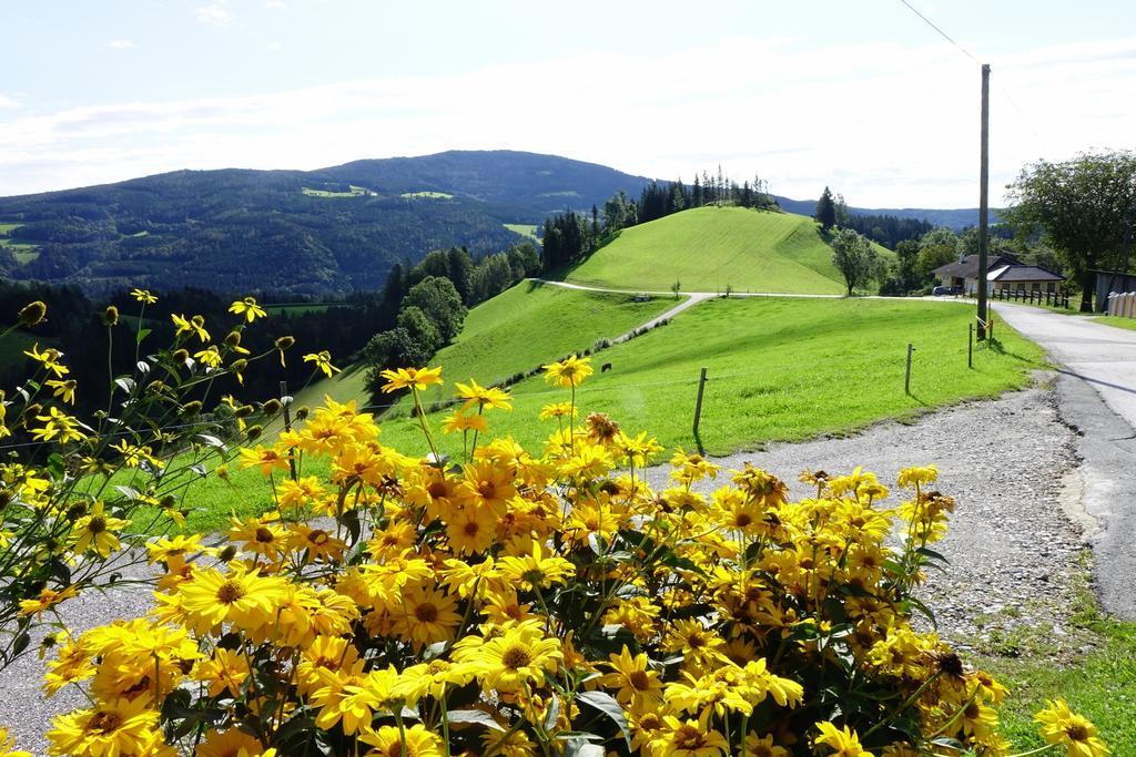 Perhofer Birkfeld