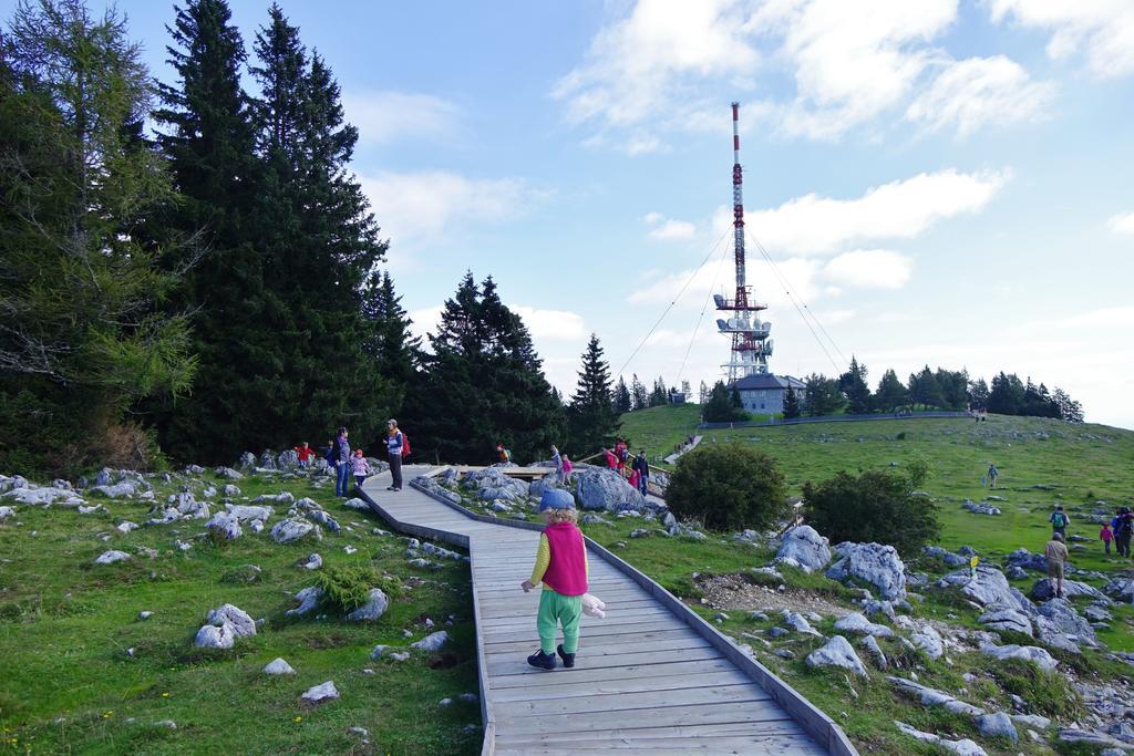 Perhofer Birkfeld